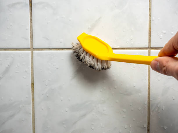Best Commercial Mold Removal  in Marriott Slaterville, UT