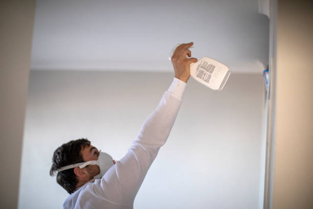 Best Mold Cleaning Services  in Marriott Slaterville, UT