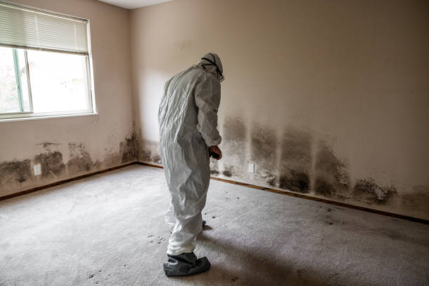 Best Office Mold Removal Services  in Marriott Slaterville, UT