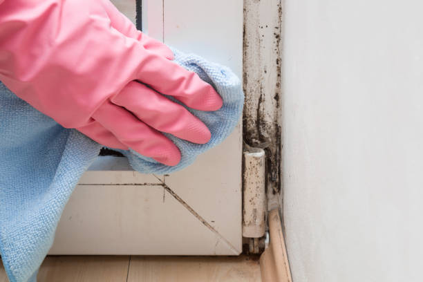 Best Mold Testing  in Marriott Slaterville, UT